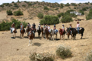 Birthday Party with Horses